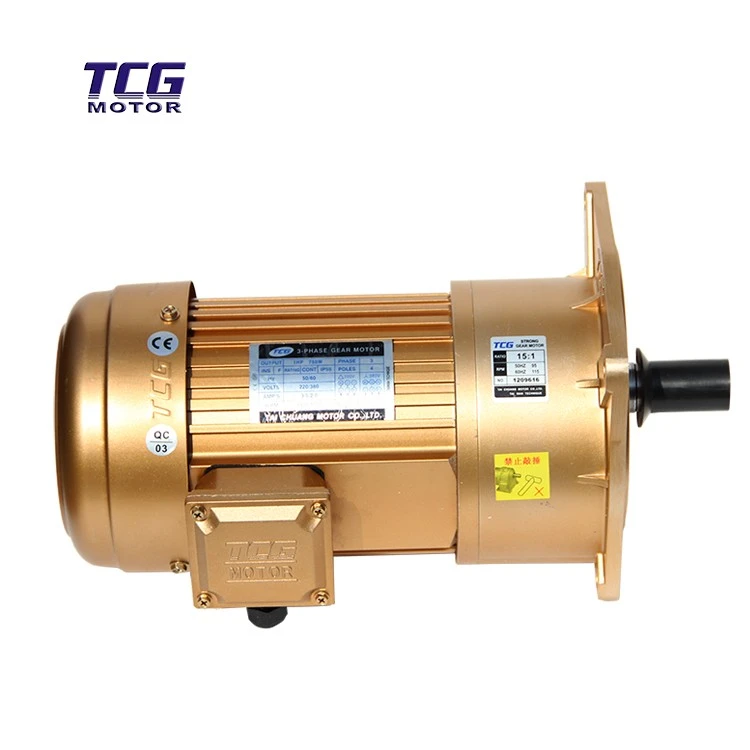 Low RPM motor