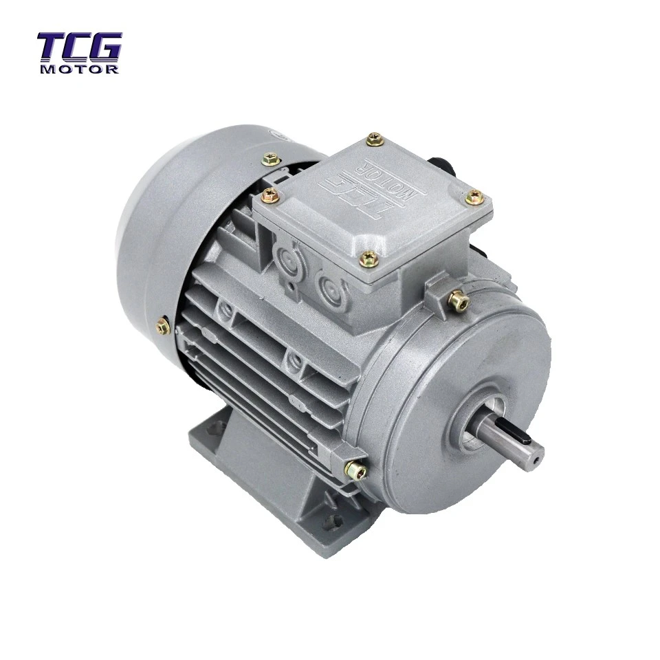 B3 Foot mount motor
