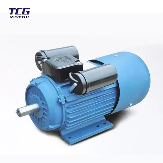 dual capacitor ac motor